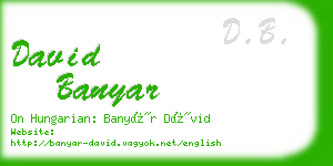 david banyar business card